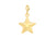 9ct Yellow Gold Star Charm