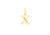 9ct Yellow Gold Crystal Initial 'X' Necklace