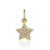 Diamond Star Charm